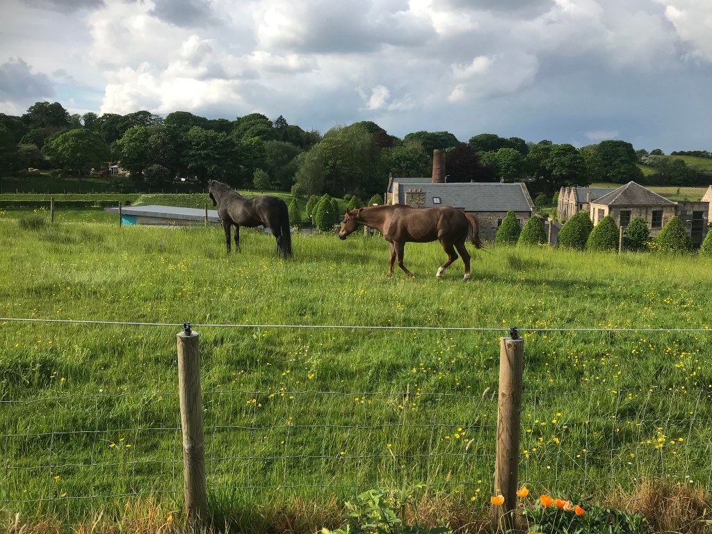 Welcome to Birtle Riding&nbsp;Centre!